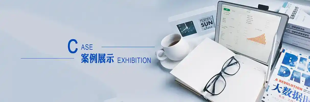 洮北区软件开发